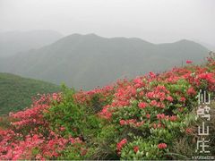 -仙山谷激浪漂流