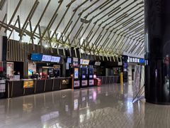 -金逸影城(武汉人信汇IMAX店)