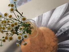 -Margherita雏菊意大利餐厅(雅颂庭购物中心店)
