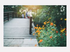 -乌村