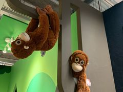 -宜家家居(四元桥商场店)