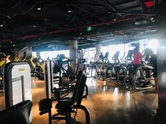 -威尔仕健身(虹桥南丰城店)