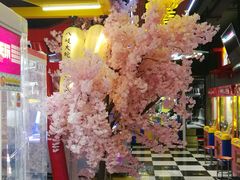 -天天玩X秋葉原日系动漫游戏中心