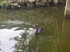 -水绘园