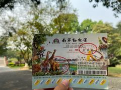 -南宁市动物园