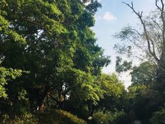 -九龙公园