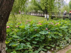 -沐仙湖湿地公园