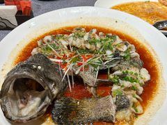 古法蒸青斑鱼-连鹭海鲜·海肠捞饭·海胆饭(星海店)