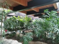 -三江森林温泉度假区