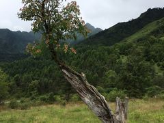 -硗碛藏寨·神木垒景区