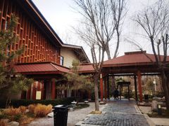 -思念果岭悦温泉