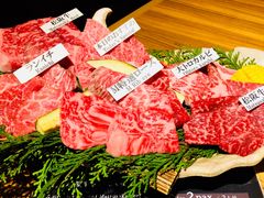 -松阪牛焼肉M(法善寺横丁店)