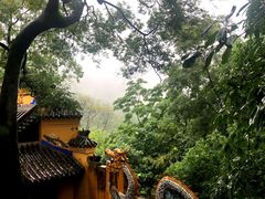 -涂山寺素食餐厅