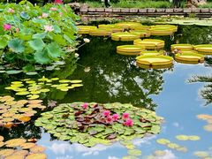 -国家植物园南园