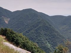 -东白山