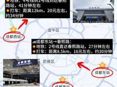 -成都大熊猫繁育研究基地