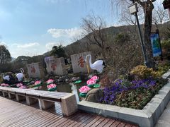 -香雪海
