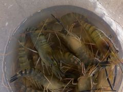 -DGE季风钓虾营地·团建·聚会