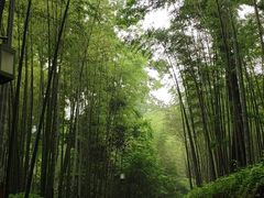 -钱江新城灯光秀