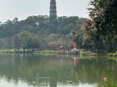-顺峰山公园