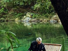 -石台牯牛降景区