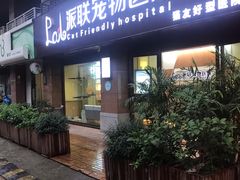 -派联宠物医院·24h·CT·异宠