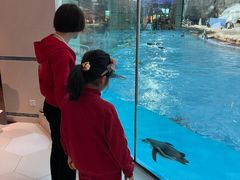 -帝企鹅自助餐厅•儿童岛•真企鹅(长隆企鹅酒店)