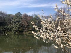 -杭州植物园