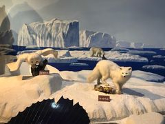 -陕西自然博物馆