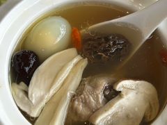 羊肚菌松茸煨鸽蛋-日出青木
