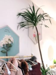 门面-静待花开瑜伽尊巴会馆