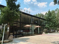 -桉树林A coffee 森林餐厅(三圣乡店)