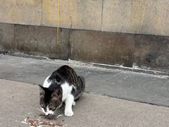 -西园寺素食(西园弄戒幢律寺店)