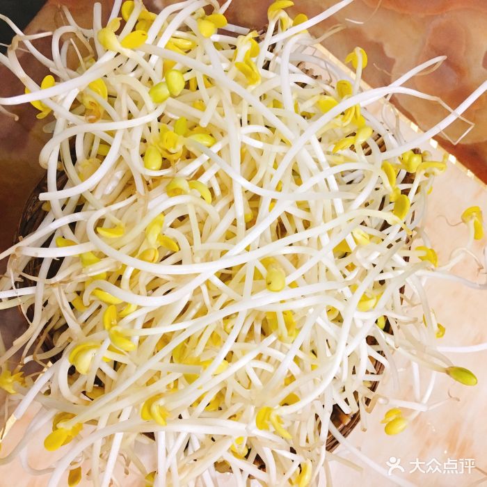 转弯老火锅豆芽图片 - 第32张