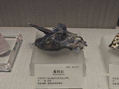 -湖南省地质博物馆