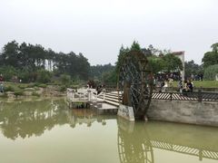 -铁山坪森林公园