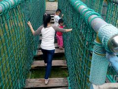 -广东茂名森林公园