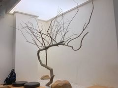 -喜茶(深圳海岸城店)