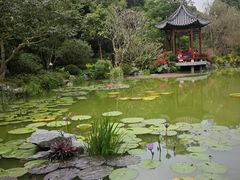 -云溪植物园