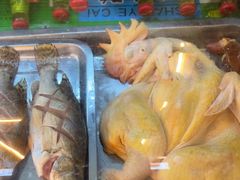 -老味道1992(武当山店)