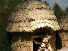 -成都泰迪熊博物馆