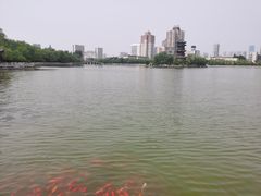 -迎泽公园