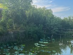 -驿舍·民國老营房院子私房菜(科学会堂店)