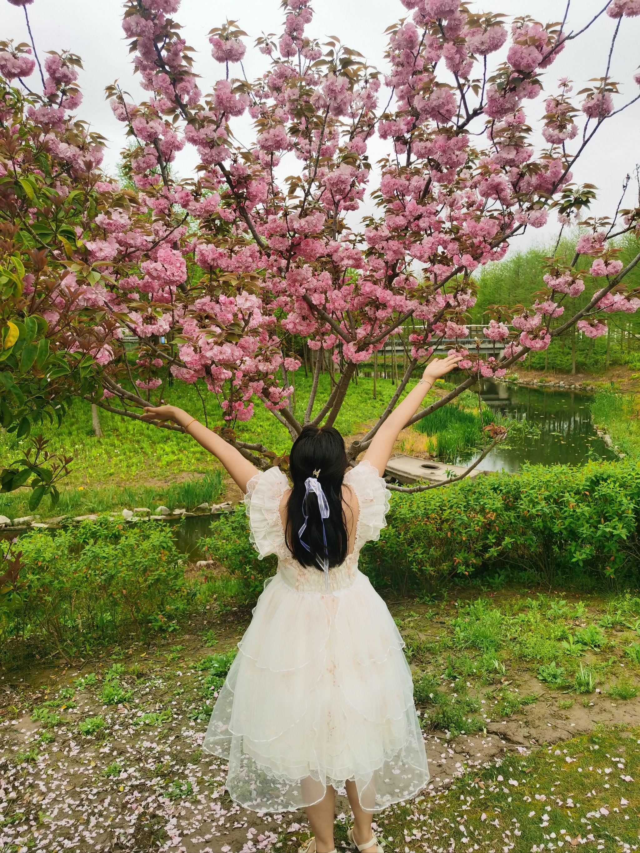 樱花树下的小仙女🌸