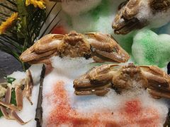 -初色海鲜自助(万丰路店)