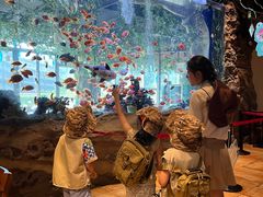 -杭州开元森泊度假乐园