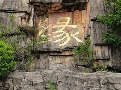 -三水森林公园