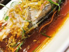 -老吉士酒家(天平路店)