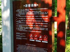 -铁山坪森林公园