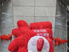 -少华山国家森林公园